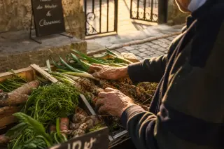 Local vendor's hands sorting vegetables at a rustic market stall in golden morning light, with cobblestones and iron gate in background
